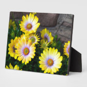 アートデコールプラーク フォトプラーク (側面)