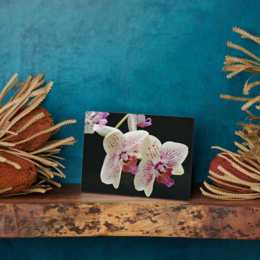 アートデコールプラーク – 蘭プラーク フォトプラーク (側面)