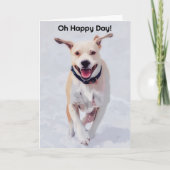 アートドッグポップ・アートのハッピードッグ恋人誕生日カード カード (正面)