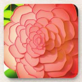 アートバラ コースター (正面)