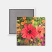 アートビリーナ66 マグネット (正面/裏面)