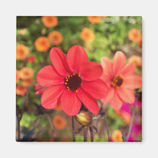 アートビリーナ66 マグネット