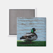 アートビリーナ92 マグネット (正面/裏面)