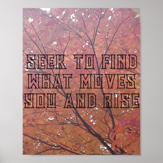 アートプリント、バリューポスター紙（マット） ポスター (正面)