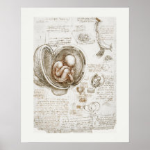 アートポスター：レオナルド・ダ・ヴィンチ：勉強1510 - 1513