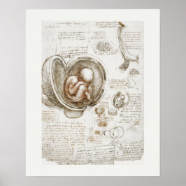 アートポスター：レオナルド・ダ・ヴィンチ：勉強1510 - 1513 ポスター