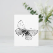 アートポップ・アートのバタフライ ポストカード (スタンド正面)