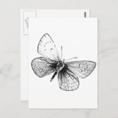 アートポップ・アートのバタフライ ポストカード (正面/裏面)
