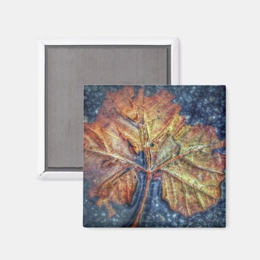 アートポップ・アートの秋の葉磁石 マグネット (正面/裏面)