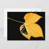 アートリーフ12 ポストカード (正面/裏面)