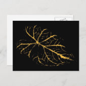 アートリーフ26 ポストカード (正面/裏面)