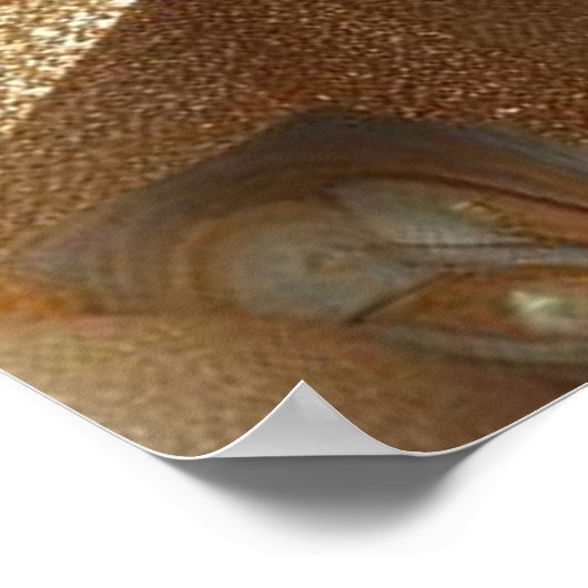 アート冬の風景と雪と氷の結晶をキャプチャ ポスター (角)