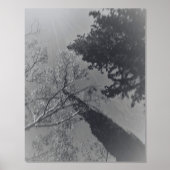 アート及びデザインフォイルプリント 箔ポスター (正面)