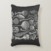 アート型枠の自然 アクセントクッション (正面(垂直))