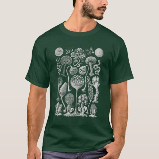 アート型枠の自然、ハエッケルTシャツ Tシャツ (正面)