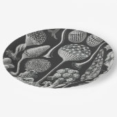 アート型枠の自然 ペーパープレート (アングル)