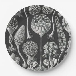 アート型枠の自然 ペーパープレート