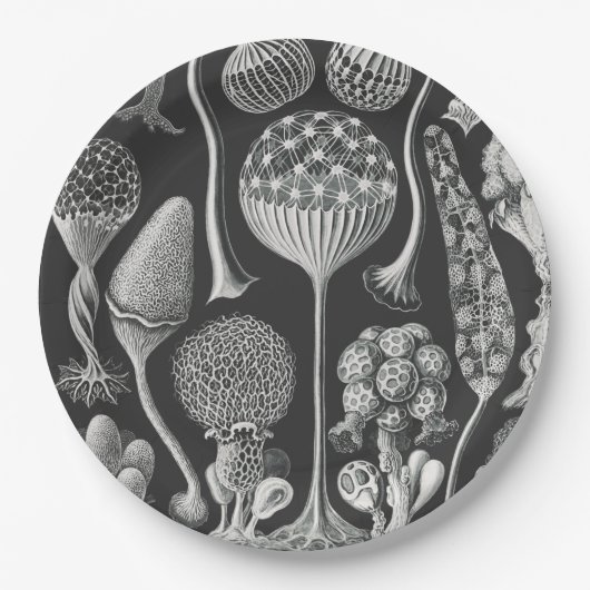 アート型枠の自然 ペーパープレート (正面)