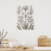 アート型枠イン自然- Ernst Haeckel ポスター (キッチン)