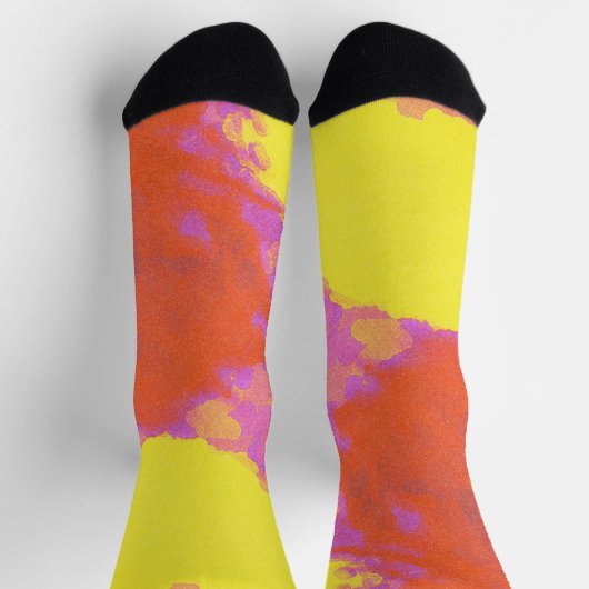 アート熱狂するソックスの絵を描流出 ソックス (上部)