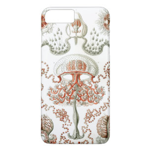 アート・オブ・自然・ヴィンテージエルンストヘッケル・アントメデュサエ iPhone 8 PLUS/7 PLUSケース