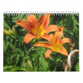 アート カレンダー (カバー)