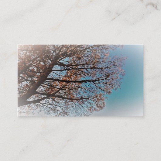 アート&デザイン名刺 名刺 (正面)