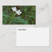 アート&デザイン名刺 名刺 (正面/裏面)