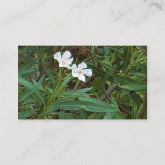 アート&デザイン名刺 名刺 (正面)