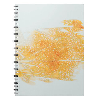 アート ノートブック