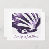 アート・バイ・ヘザー・ライブ・フル・開花はがき ポストカード (正面/裏面)
