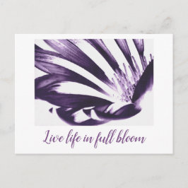 アート・バイ・ヘザー・ライブ・フル・開花はがき ポストカード