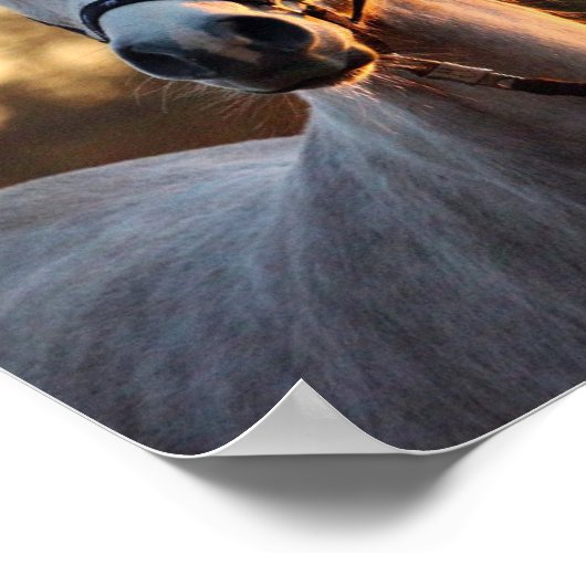 アートfor馬好き – 馬写真ポートレート ポスター (角)