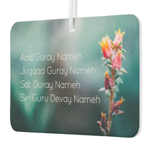 アードゲレーナメカー カーエアーフレッシュナー (左)