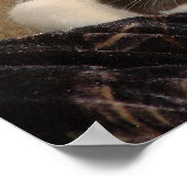 アードバルクのポスター ポスター (角)