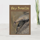 アードバークは「永遠にあなたを愛し続ける」キス私！ カード (正面)