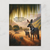 アードボル威厳のあるフ放牧オンラッシュ草原 ポストカード (正面)