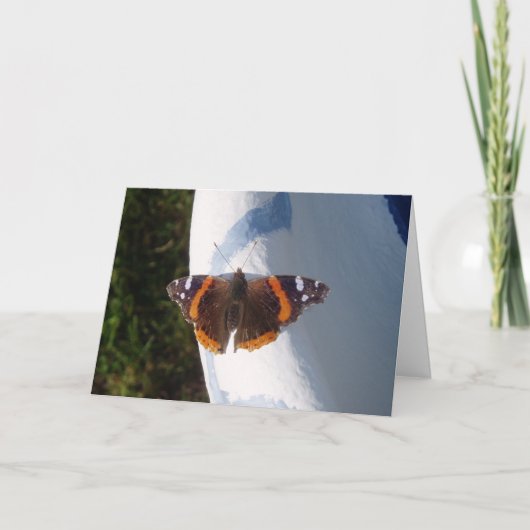 「アーニー・ザ・バタフライ」お見舞いカード カード (正面)