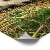 アーネスト&サッシープリント! ポスター (角)