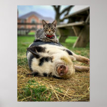 アーネスト&サッシープリント!