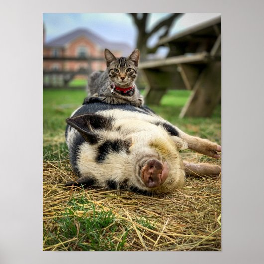 アーネスト&サッシープリント! ポスター (正面)