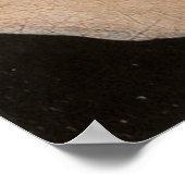 アーノルフィニ妻ポートレート(詳細) ポスター (角)