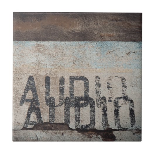 アーバンをテーマにしたロフトスタイルのオーディオフィレ音楽愛好家 タイル (正面)