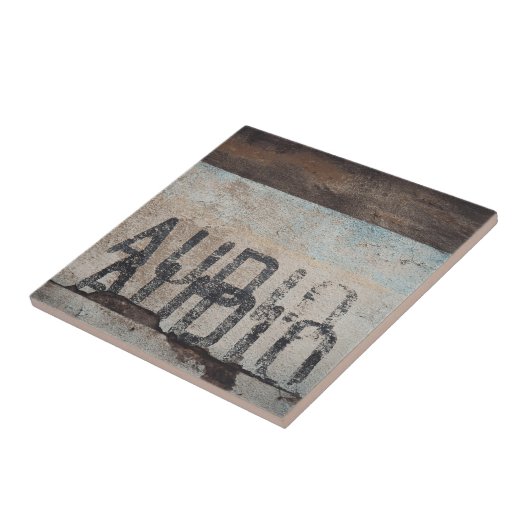 アーバンをテーマにしたロフトスタイルのオーディオフィレ音楽愛好家 タイル (側面)