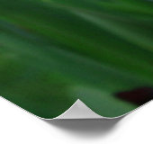 アーバンガーデンロンドンデコール: Smithfieldフローラ ポスター (角)