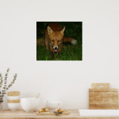 アーバンキツネ ポスター (キッチン)