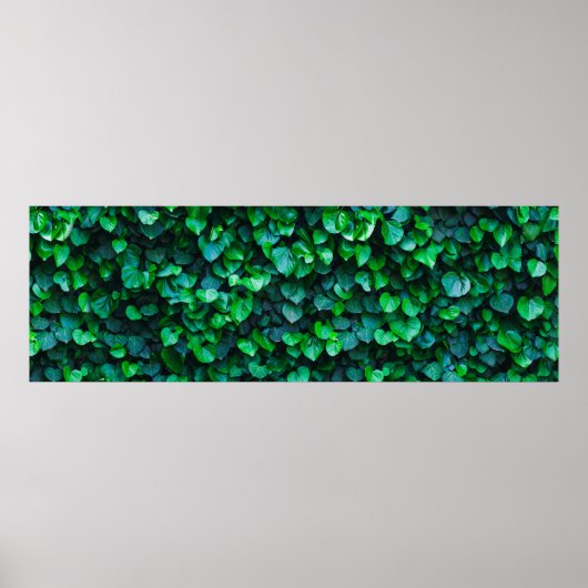 アーバンジャングルの屋内園芸 ポスター (正面)