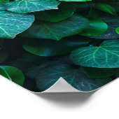 アーバンジャングルの屋内園芸 ポスター (角)