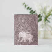 アーバンゾウ ポストカード (スタンド正面)