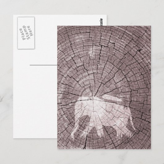 アーバンゾウ ポストカード (正面/裏面)